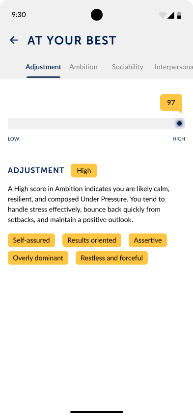 Adjustment score detail with a slider, a High badge, an explanation and trait tags