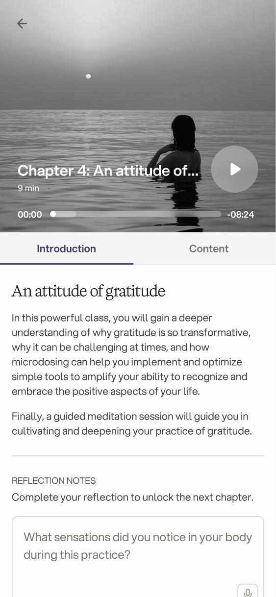 Chapter 4, An attitude of gratitude, with an audio player, an introduction and a reflection note required to unlock the next chapter